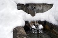 Regulated natural spring or source of water arranged into a fountain in winter captured in front view. Royalty Free Stock Photo