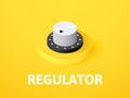 Regulator isometric icon, isolated on color background