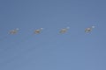 Rehearsal of the Victory Day celebration WWII. The airshow on the Red Square. Group of Sukhoi Su-24 Fencer is a supersonic, al Royalty Free Stock Photo