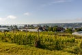Reichenau Island, view over the vineyards to Lake Constance, Baden-Wuerttemberg, Germany Royalty Free Stock Photo