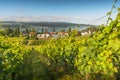 Reichenau Island, vineyards and greenhouses with view of Lake Constance, Germany Royalty Free Stock Photo