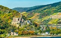 Reichenstein Castle in the Rhine Gorge, Germany