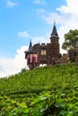 Reichsburg Cochem on the River Moselle Royalty Free Stock Photo