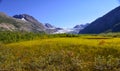 Reid Glacier