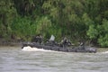 Reid Marines on the river Guaviarei