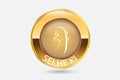 Reiki Symbol Sei He Ki Button icon gold vector