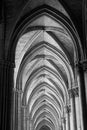 Reims Cathedral Ceiling Arches