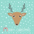 Reindeeer head. Merry christmas. Candy cane. Cute cartoon