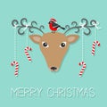 Reindeeer head. Merry christmas. Hanging stick candy cane. Bullfinch winter red feather bird. Cute cartoon deer face with curly ho