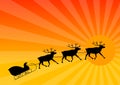 Reindeer Royalty Free Stock Photo