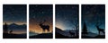 Starry Night Reindeer: Elegant Silhouette Designs