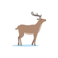 Reindeer animal, Arctic fauna species vector Illustration