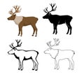 Reindeer animal set in color, silhouette, contour and stroke style