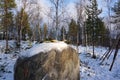 Reindeer antlers and apples worship items on the large rock at S