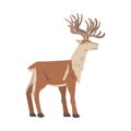 Reindeer Arctic Animal, Wild Polar Mammal Cartoon Vector Illustration