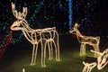 Reindeer Christmas decorations bright light