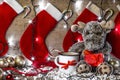 Image of reindeer with christmas decorations