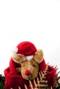 Reindeer Christmas with red hat. Royalty Free Stock Photo