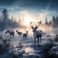 Reindeer Farm in northern Summer molting Royalty Free Stock Photo