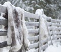 Reindeer fur Yllas Finland