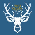 Reindeer head isolated on blue background, vector illustration