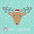 Reindeer head in Santa Claus hat. Merry christmas. Candy