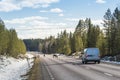 Reindeer herd on the road Sweden