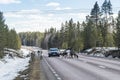 Reindeer herd on the road Sweden Royalty Free Stock Photo