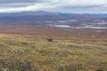 Walking along the Padjelanta in the Sarek National Park in northern Sweden. selective focus