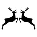 Reindeer jumping on a white background