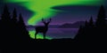 Reindeer by the lake with beautiful green polar lights wildlife nature landscape Royalty Free Stock Photo