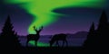 Reindeer by the lake with beautiful green polar lights wildlife nature landscape Royalty Free Stock Photo