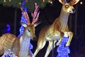 Reindeer, Lighted Animated Display, Oklahoma City Zoo