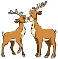 Reindeer love