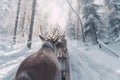 Reindeer pulling a sleigh through a snow covered winter forest. Generative ai