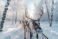 Reindeer pulling a sleigh through a snow covered winter forest. Generative ai