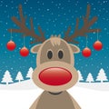 Reindeer red nose and christmas balls