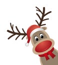 Reindeer red nose scarf santa claus hat