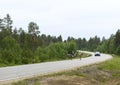 Reindeer on the road. Finland. Royalty Free Stock Photo