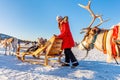 Reindeer safari Royalty Free Stock Photo