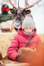 Reindeer safari in Lapland Royalty Free Stock Photo