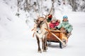 Reindeer safari in Lapland