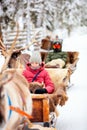 Reindeer safari in Lapland