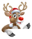 Reindeer in Santa Hat Pointing Down at Sign Royalty Free Stock Photo