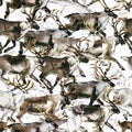 Reindeer seamless pattern. Caribou watercolor illustration Royalty Free Stock Photo