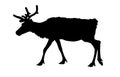 Reindeer silhouette