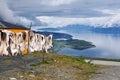 Reindeer skin Royalty Free Stock Photo