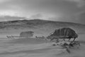 Reindeer sled of nomad tribe in the Polar tundra.