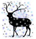 Reindeer with snow star vector illustration