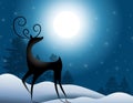 Reindeer Standing In Moonlight